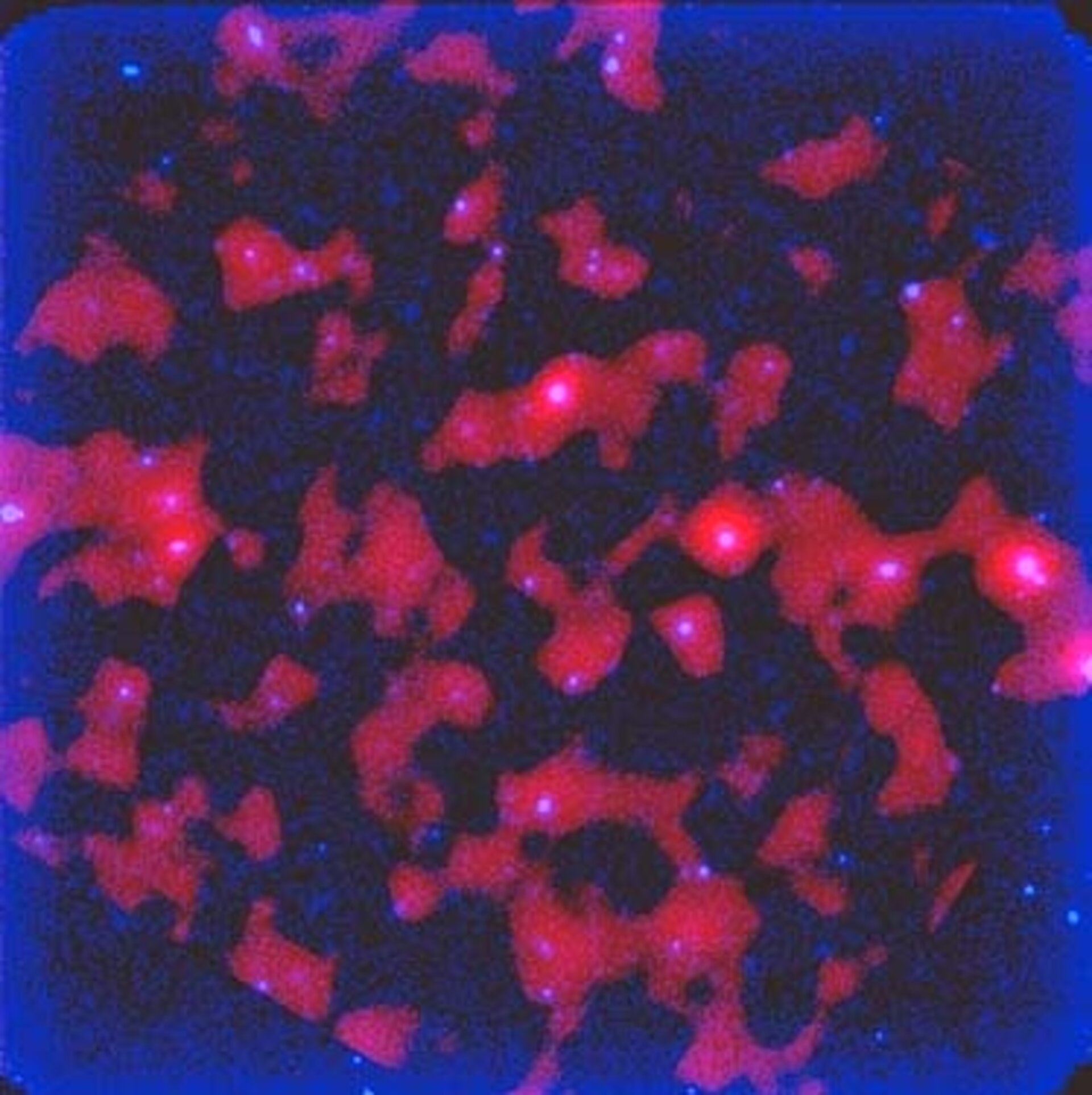 ISO observes starburst galaxies