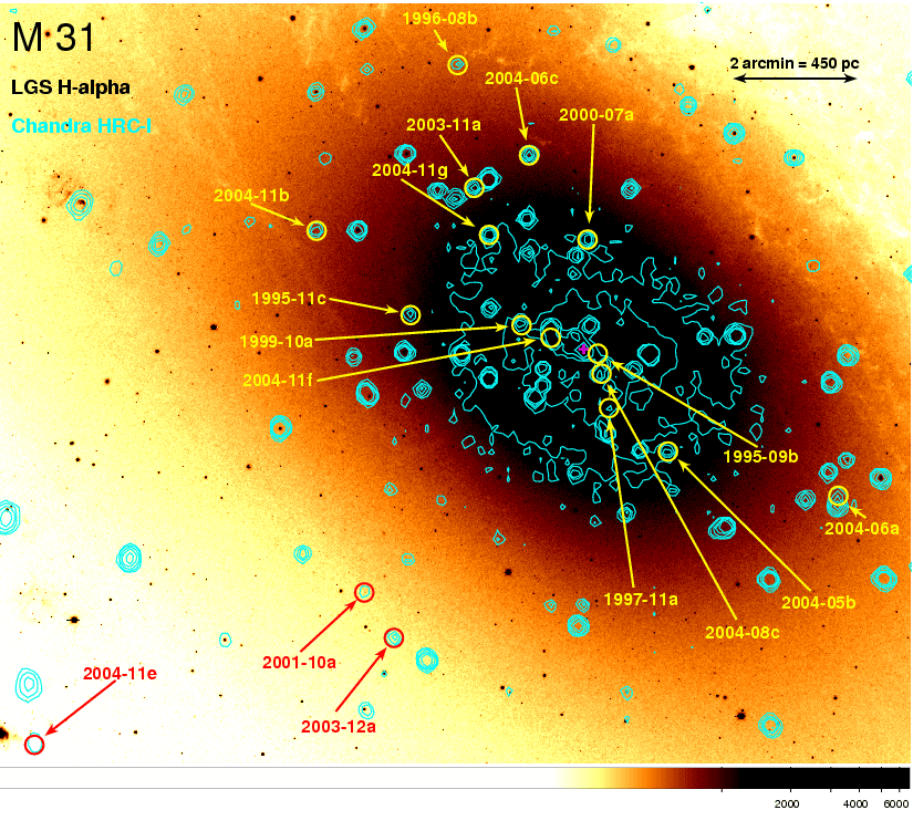 A combined optical and X-ray image of M31