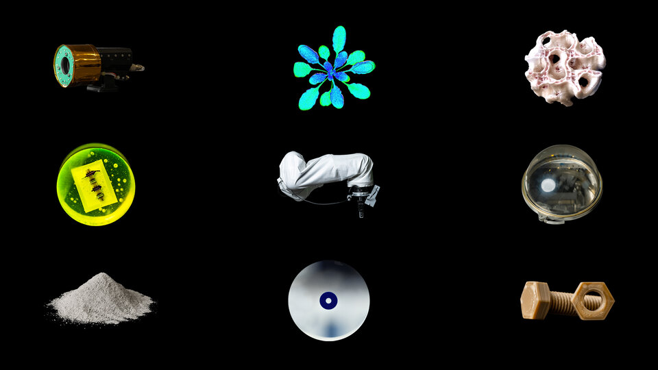 Items from the website