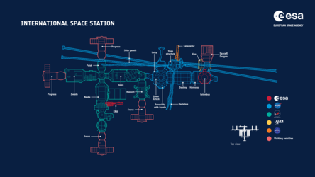 Infographic showing a side view of the International Space Station and its elements 