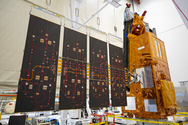 Biomass standing proud