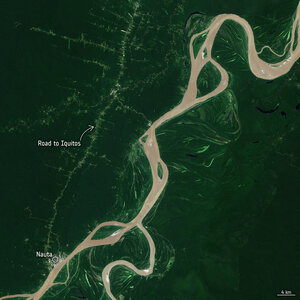 Clearing of tropical forest in Peru 1995–2020