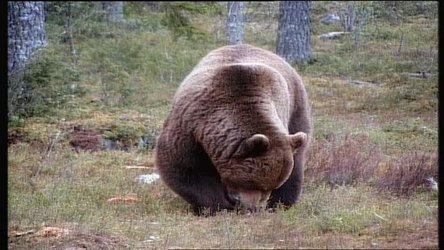 Hibernation: Sleep while traveling to other planets