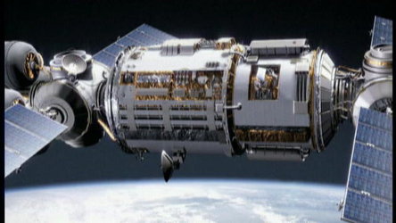 A pocket-size ecosystem